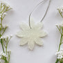 Aroma Bead Air Fresheners - Autumn Special Occasions