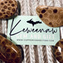 Petoskey Stones