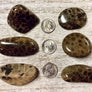 Petoskey Stones