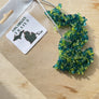Air Fresheners - NEW Scents - Michigan