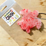 Air Fresheners - NEW Multi-Color Blends!