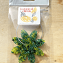 Air Fresheners - NEW Multi-Color Blends!