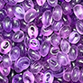 Flower Aroma Bead Air Fresheners - Summer Collection