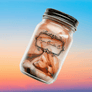 16 oz. Pint Mason Jar Candle - Signature Collection