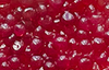 Aroma Bead Air Fresheners - Autumn Collection