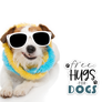Free Hugs for Dogs | Decal