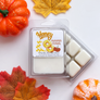 Soy Wax Melts - Autumn Collection