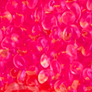Flower Aroma Bead Air Fresheners - Summer Collection