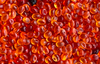 Aroma Bead Air Fresheners - Autumn Collection