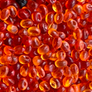 Aroma Bead Air Fresheners - Autumn Collection