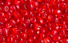 Aroma Bead Air Fresheners - Autumn Collection