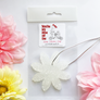 Air Fresheners - Valentine's Day Collection
