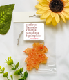 Illustrated Air Fresheners Various Shapes - Autumn Collection