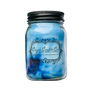 16 oz. Pint Mason Jar Candle - Spring Collection