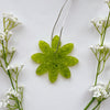Aroma Bead Air Fresheners - Signature Collection