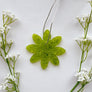 Aroma Bead Air Fresheners - Signature Collection