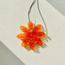 Aroma Bead Air Fresheners - Signature Collection
