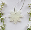 Aroma Bead Air Fresheners - Signature Collection