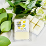 Soy Wax Melts - Signature Collection