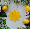 Aroma Bead Air Fresheners - Signature Collection