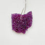 Ohio Aroma Bead Air Fresheners