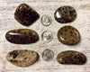 Petoskey Stones