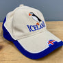 Iceland Hat - Thrifted Accessories