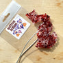Air Fresheners - NEW Multi-Color Blends!