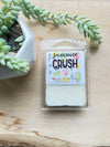 Soy Wax Melts - NEW Scent Blends!