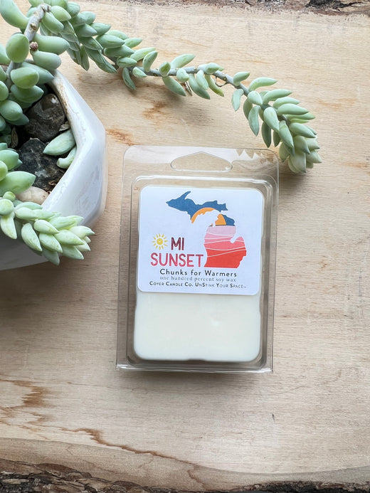 Soy Wax Melts - NEW Michigan Scents!