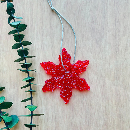 Various Shaped Air Fresheners - Winter & Holiday Collection