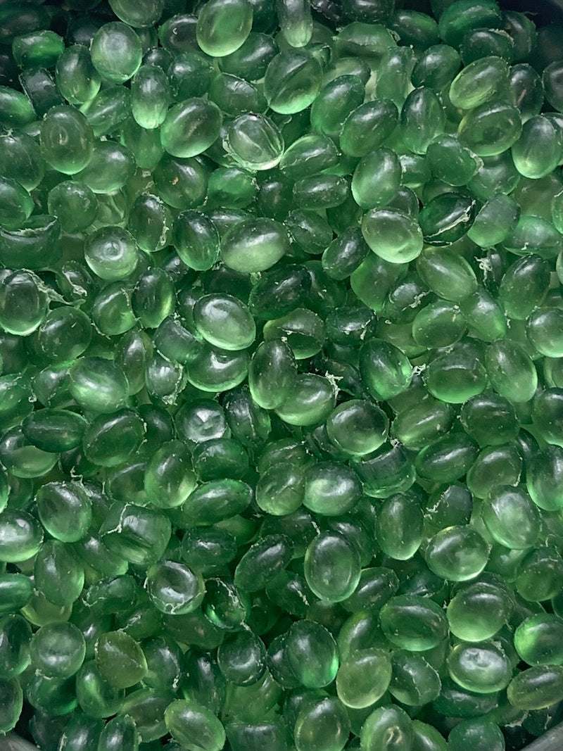 Cactus (Cacti!) Aroma Bead Air Freshener - Spring Collection