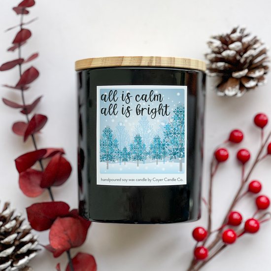 11 oz. Black Jar Candle - Winter & Holiday Collection