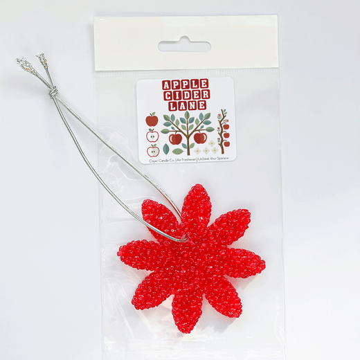 Various Shaped Air Fresheners - NEW Fall Scents