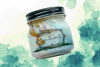 8 oz. Mason Jar Candle - NEW Scent Blends!