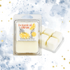 Soy Wax Melts - NEW Scent Blends!