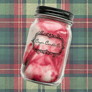 16 oz. Pint Mason Jar Candle - NEW Michigan Scents!