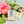 Soy Wax Melts - Autumn Collection