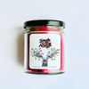 9 oz. Jar Candles - *NEW* Winter & Holiday Special Occasions