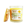 11 oz Candle Jars - NEW Fall Scents