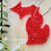 Full State of Michigan Aroma Bead Air Fresheners - Winter Collection