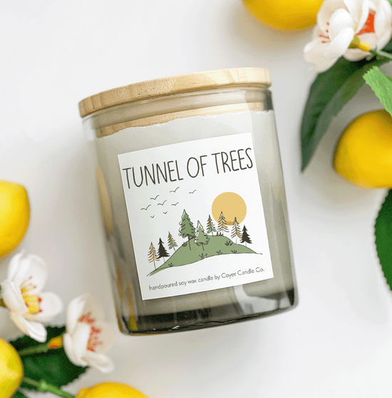 11 oz Candle Jars - Tunnel of Trees