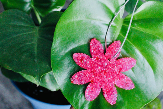 Flower Aroma Bead Air Fresheners - Summer Collection