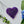 Aroma Bead Air Fresheners - Signature Collection