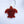 Turtle Aroma Bead Air Fresheners - Summer Collection