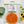 Aroma Bead Air Fresheners - Autumn Botanical Collection
