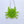 Lucky Oliver Cat Air Fresheners | Summer Edition