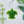 Turtle Aroma Bead Air Fresheners - Summer Collection