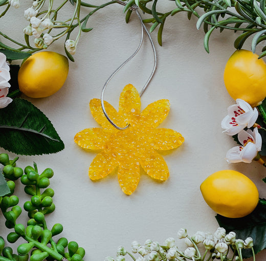 Aroma Bead Air Fresheners - Spring Collection